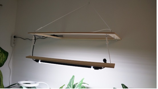 Rahmen für Pflanzenlampe aufgehängt